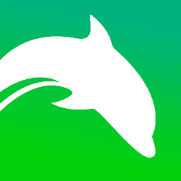 Dolphin Emulator(wii模拟器)