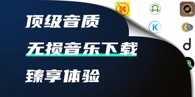 无损音乐下载器