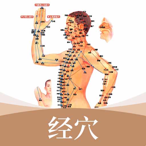 中医经络穴位标准指南软件